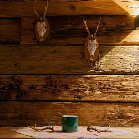 Great Old Waelderhaus Au (Bregenz)