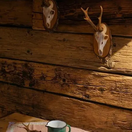 Great Old Waelderhaus Tatil Evi