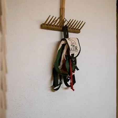 Great Old Waelderhaus * Au (Bregenz)