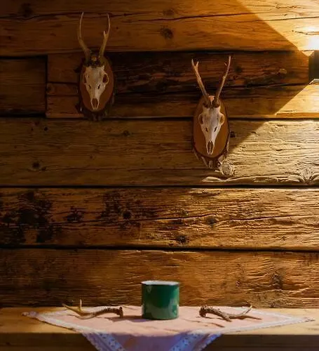 Great Old Waelderhaus Au (Bregenz)