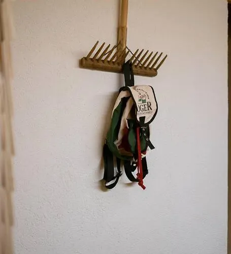 Great Old Waelderhaus * Au (Bregenz)